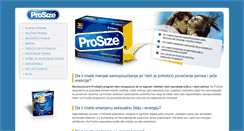 Desktop Screenshot of pro-size.com